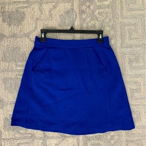 Anthropologie Hutch blue mini skirt
